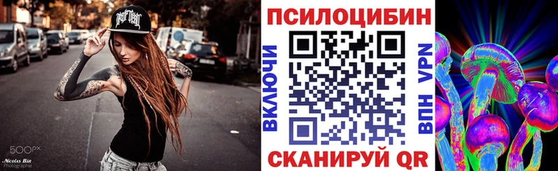 Псилоцибиновые грибы Psilocybe  Таганрог 