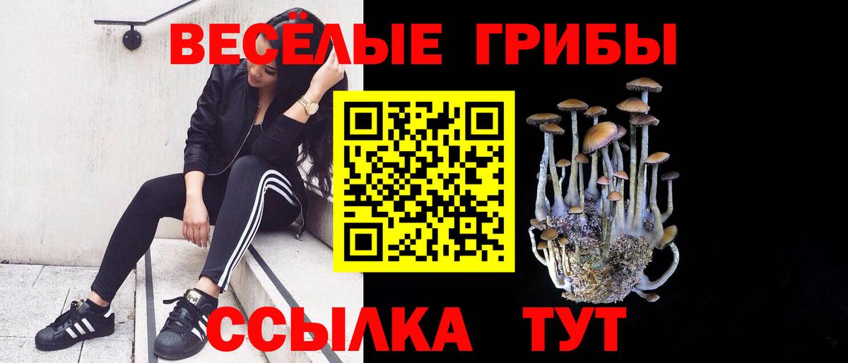 Псилоцибиновые грибы Psilocybe Таганрог