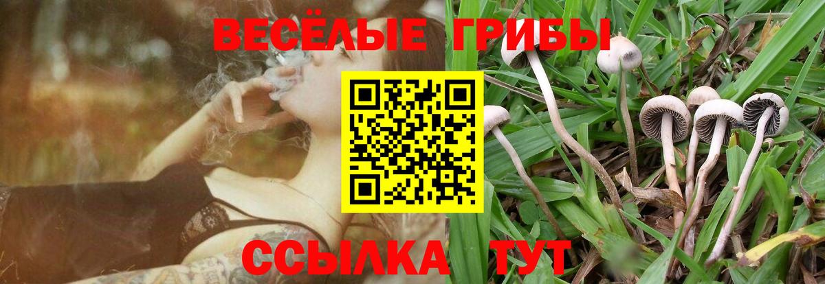 Таганрог  Псилоцибиновые грибы Cubensis  Галлюциногенные грибы Magic Shrooms  Вход с VPN 